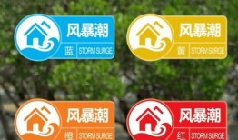 台州爆料订婚视频最新消息,最新爆料揭秘幕后真相