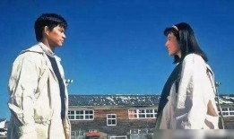 海岛网友爆料事件视频播放,事件视频引发热议，真相究竟如何？